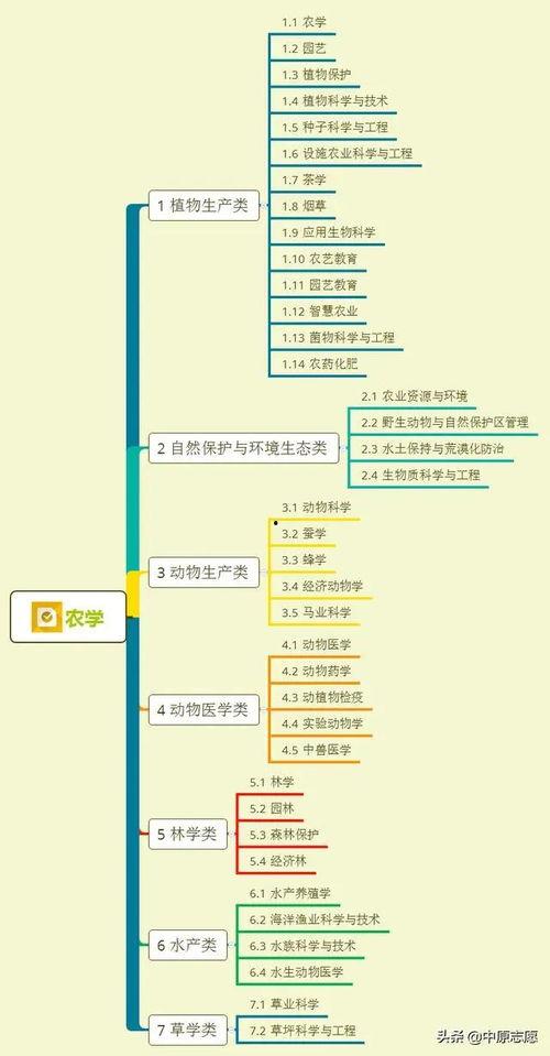 肥猪爆料虎子视频大全集,揭秘视频大全集背后的精彩故事  第3张