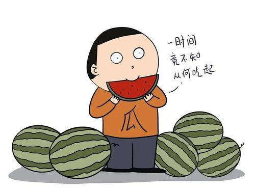 免费请吃瓜的说说,揭秘网络热传的神秘现象