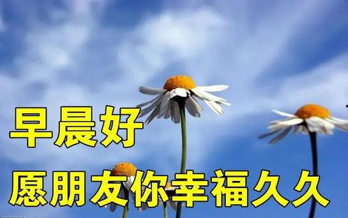 爆料早安问候语图片最新,网红爆款背后的故事  第2张